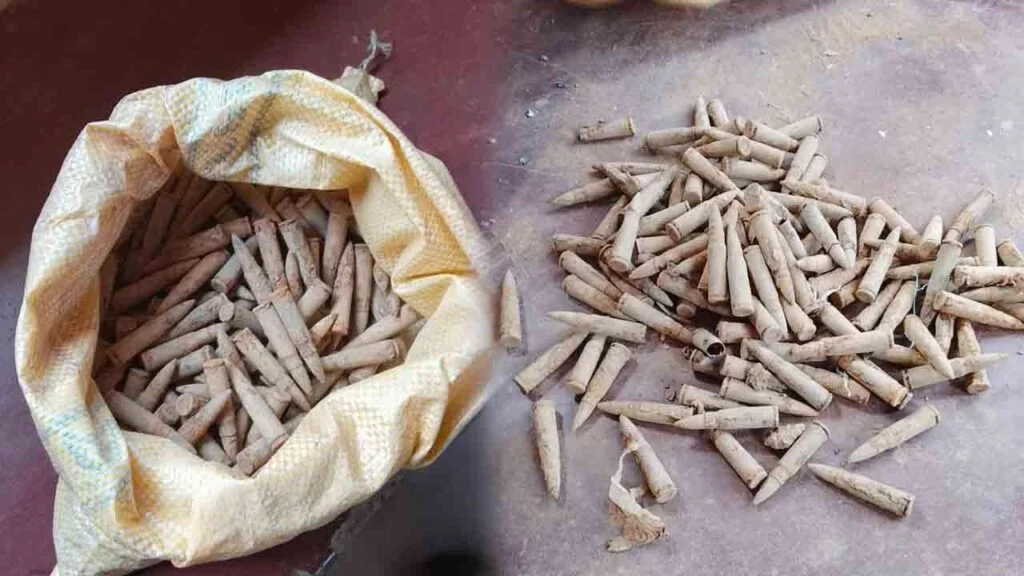 யாழில் – பெருமளவிலான துப்பாக்கி ரவைகள் மீட்பு.