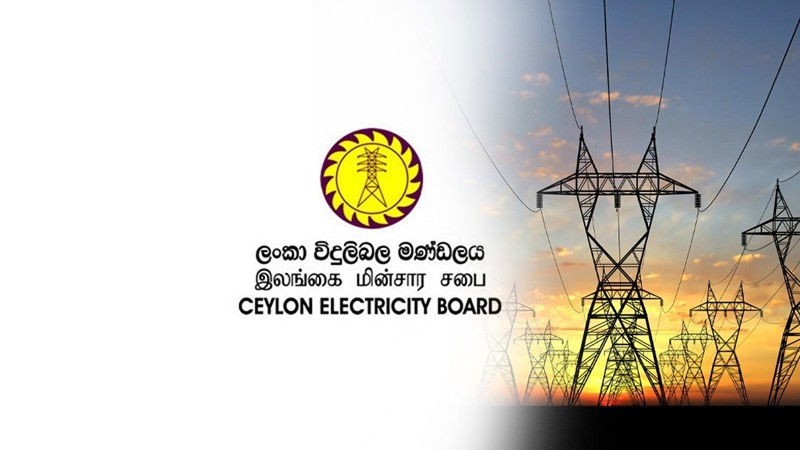 இலங்கை மின்சார சபை நான்கு தனித்தனி நிறுவனங்களாக நிறுவல்.