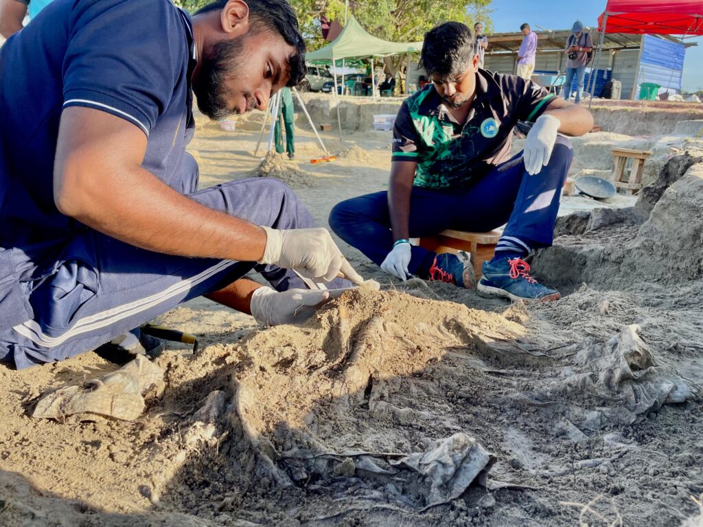 செம்மணி – மனிதப் புதைகுழியில் மேலும் 16 மனித எலும்புக்கூடுகள் அடையாளம்!