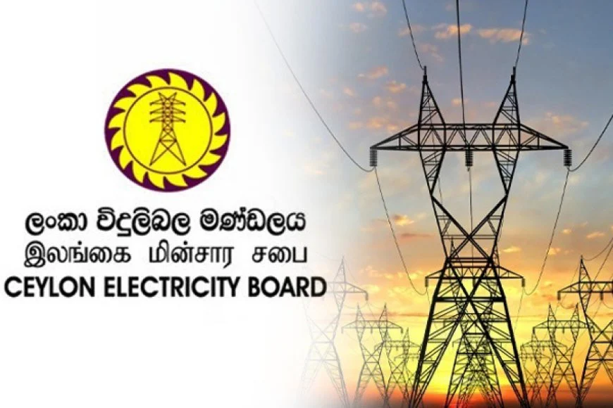 அரசுக்கு எச்சரிக்கை விடும் –  இலங்கை மின்சார சபை.