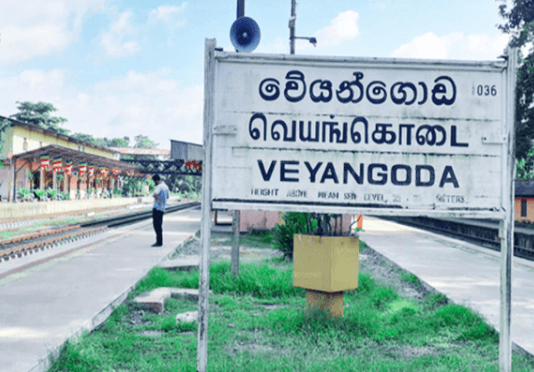 வெயாங்கொடையில் அதிர்ச்சி: எலும்புக்கூடுகள் கண்டுபிடிப்பு.