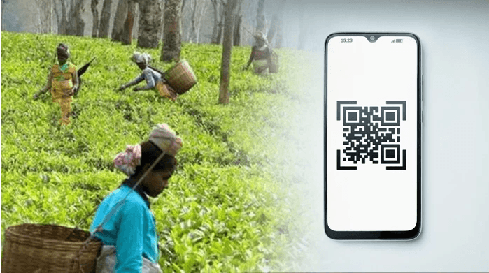தேயிலை விவசாயிகளுக்காக QR குறியீடு அறிமுகம்.