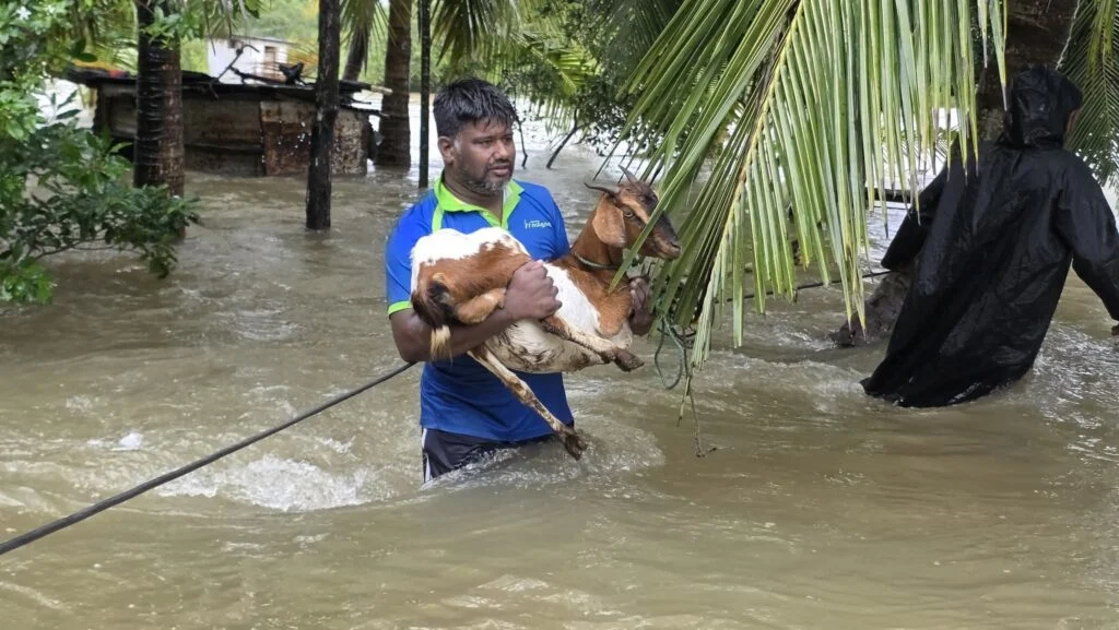 திருகோணமலை மாவட்டத்தில் 10214 குடும்பங்கள் பாதிப்பு