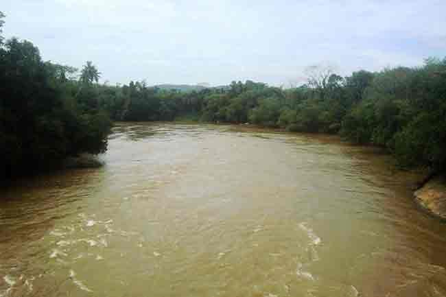 களனி ஆற்றின் நீர்மட்டம் குறைந்து வருகிறது – நீர்ப்பாசனத் துறை