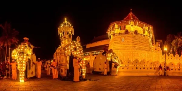 பெரஹெராவில் யானைகள் குழப்பம் : கண்டியில் பதற்றநிலை