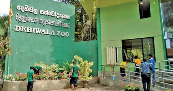 மிருகக்காட்சிசாலைகள் மற்றும் பூங்காக்கள் மீண்டும் திறக்கப்படவுள்ளன!
