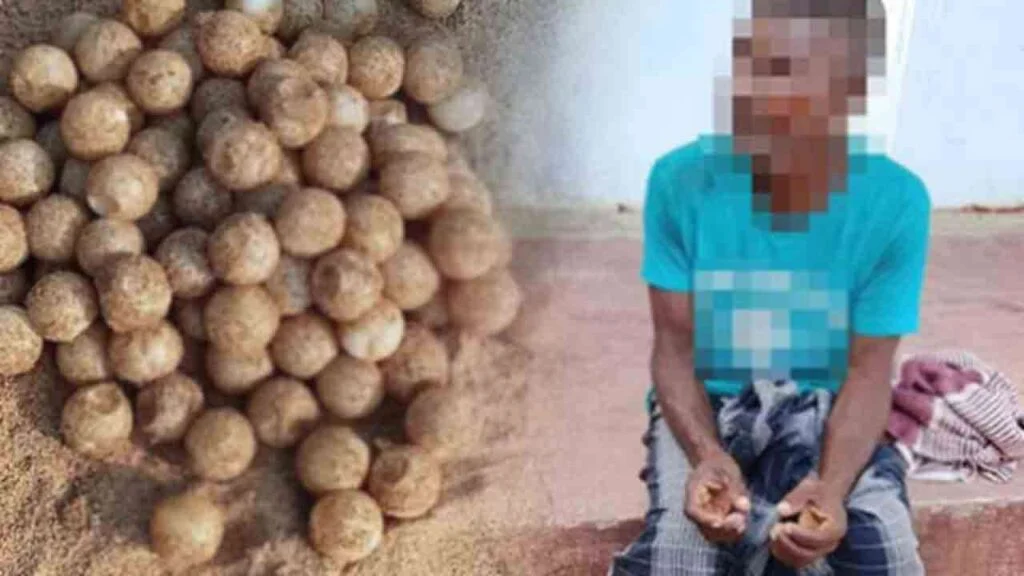 117 ஆமை முட்டைகளுடன் ஒருவர் கைது