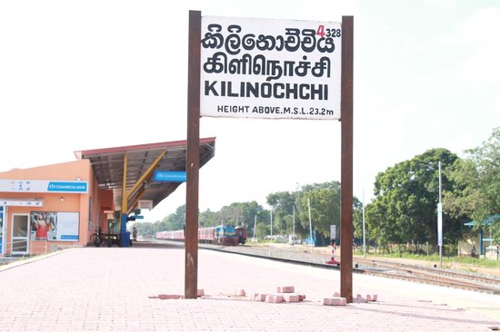 கிளிநொச்சியில் போதைப்பொருள் குற்றங்கள் தொடர்பில் 582 வழக்கு பதிவுகள்!