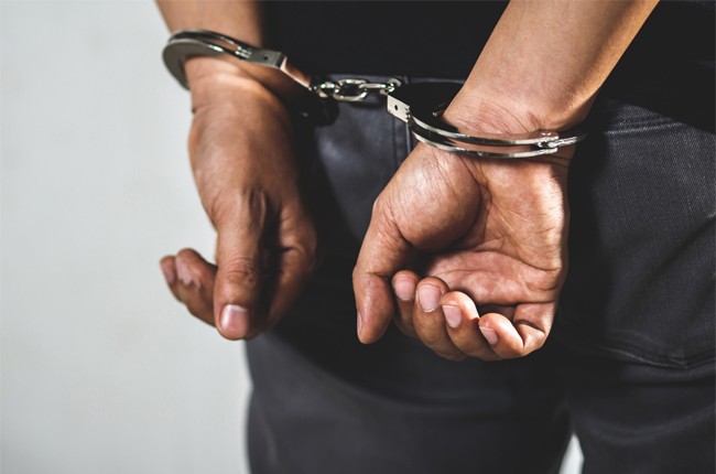 800 கிலோ சுறா மீன்களுடன் 7 நபர்கள் கைது