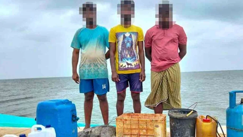 ஆமை இறைச்சி மற்றும் முட்டைகளுடன் மூவர் கைது!