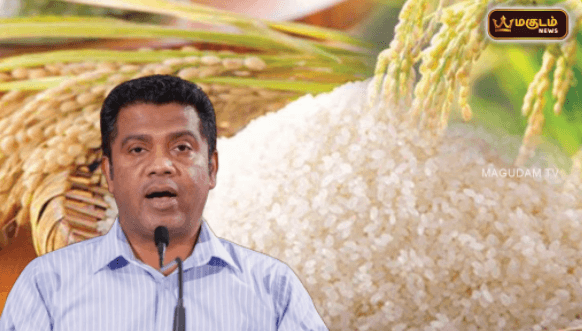 61,000 மெட்ரிக் தொன் நெல் கொள்வனவு செய்யப்பட்டது