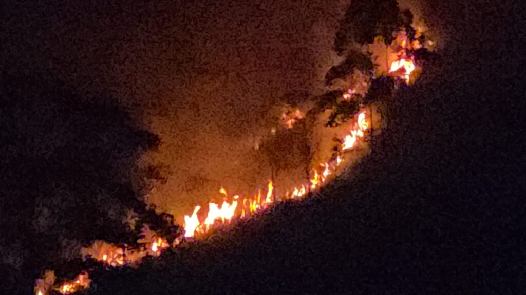 மஸ்கெலியாவில் தீ விபத்து