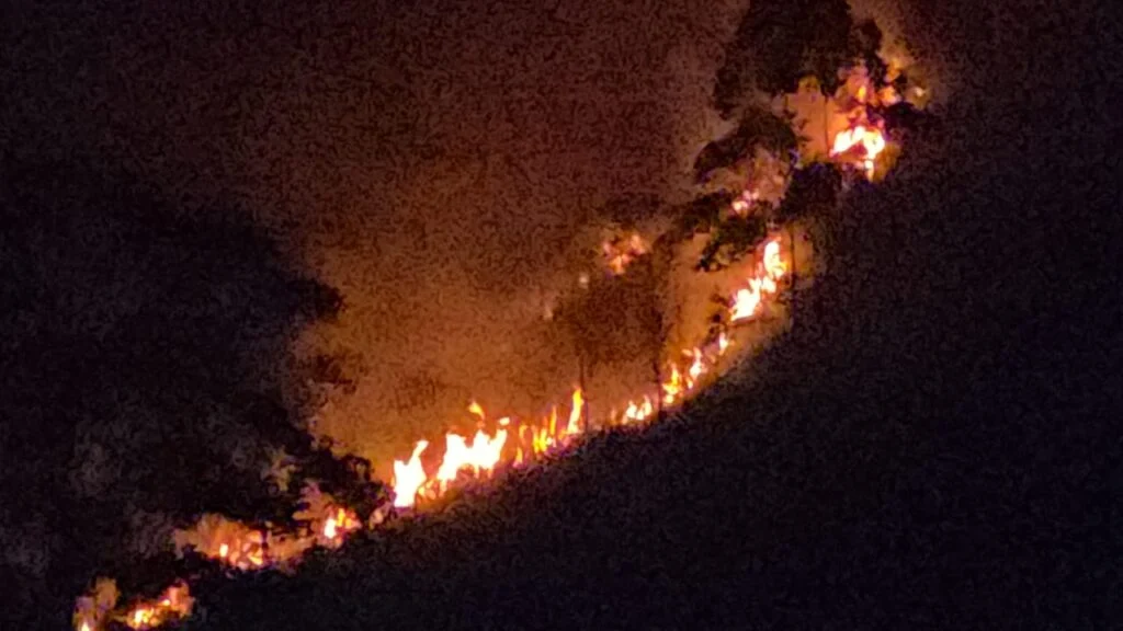 மஸ்கெலியாவில் தீ விபத்து