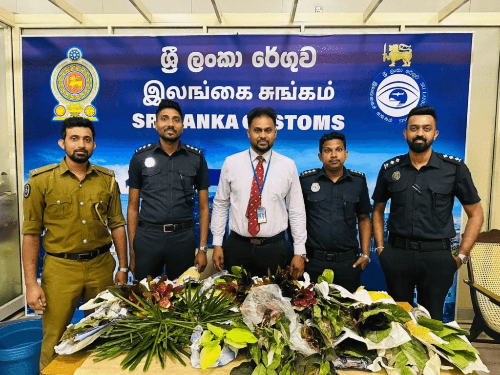 அலங்கார தாவரங்களை கடத்தியவர் கைது