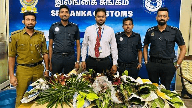 அலங்காரச் செடிகளை கடத்தி வந்த வியாபாரி கைது