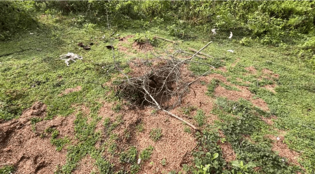 புதைக்கப்பட்ட சடலத்தின் தலையை காணவில்லை : வவுனியாவில் பரபரப்பு