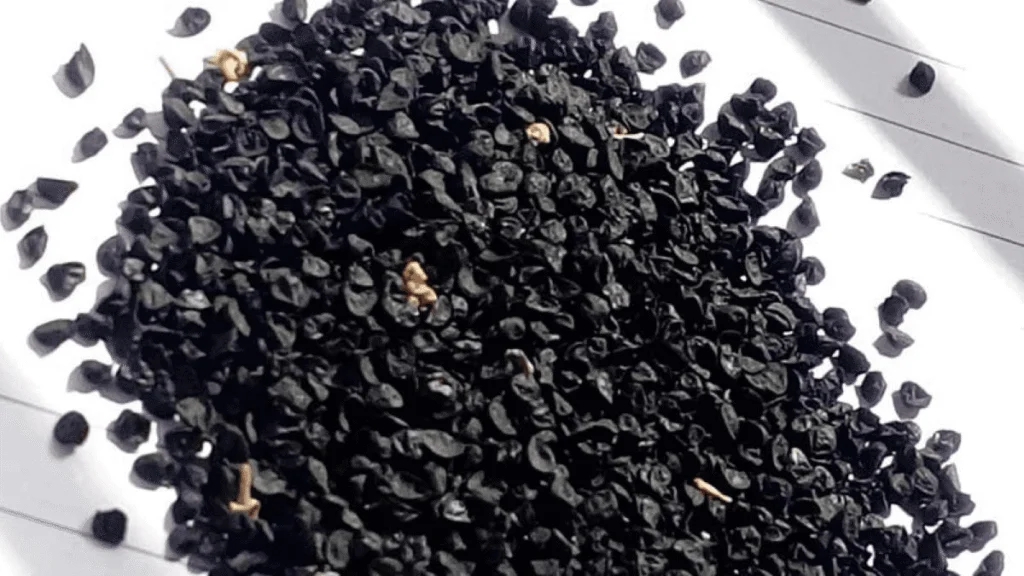 பெரிய வெங்காய விதை உற்பத்தி கிராமம் உருவாகிறது!