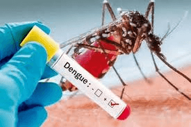 டெங்கு பரவலுக்கு காரணமான பிரதான நுளம்பு அடையாளம் !