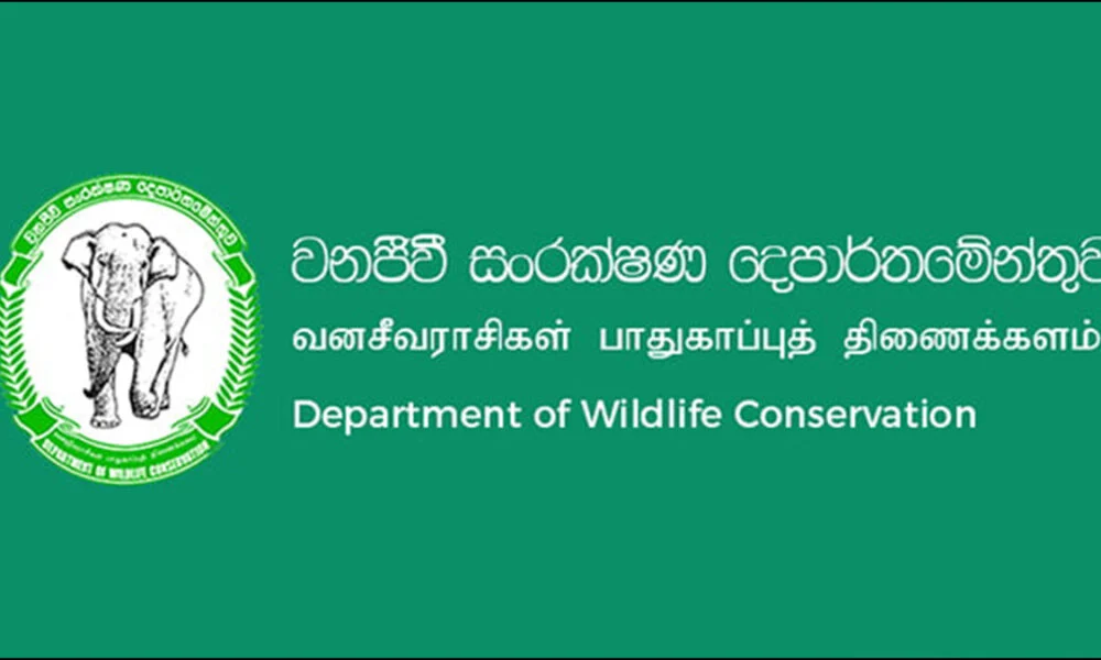 வனஜீவராசிகள் கால்நடை வைத்தியர்களின் தொழிற்சங்க நடவடிக்கை தொடர்கிறது!