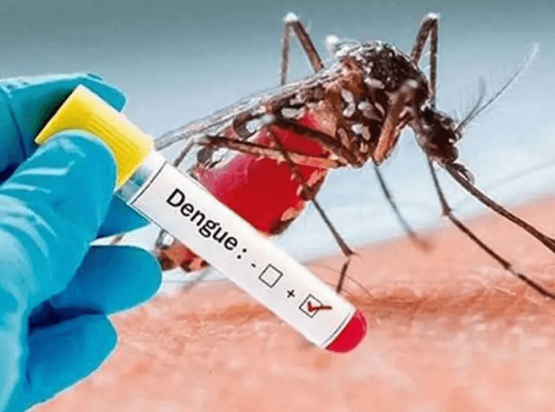 நாட்டில் பதிவாகும் டெங்கு மரணங்களின் எண்ணிக்கை 64 ஆக உயர்ந்துள்ளது.